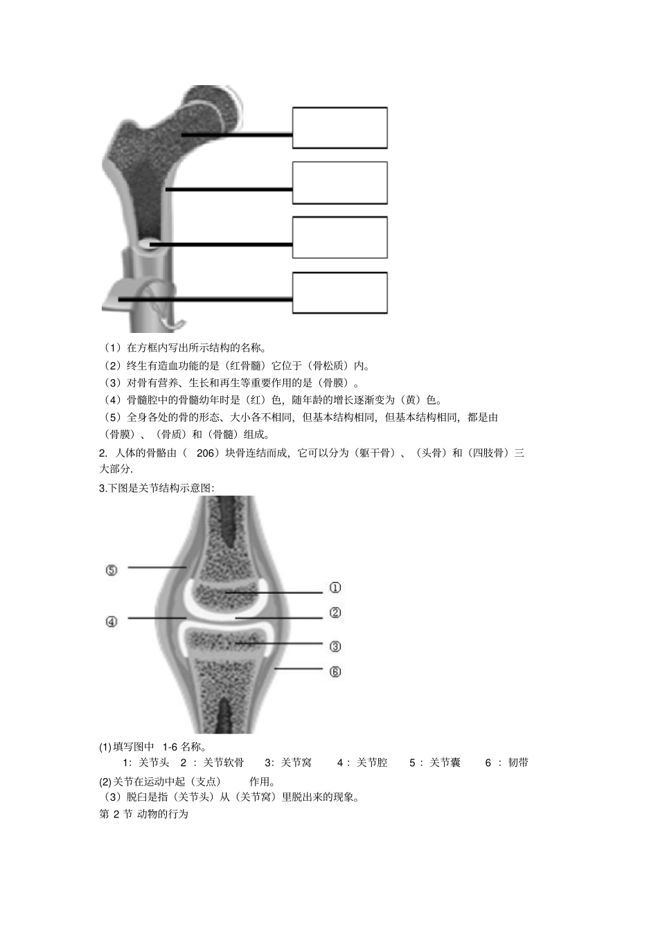 苏科版生物八年级运动与行为各章节基础测试题附答案_第2页