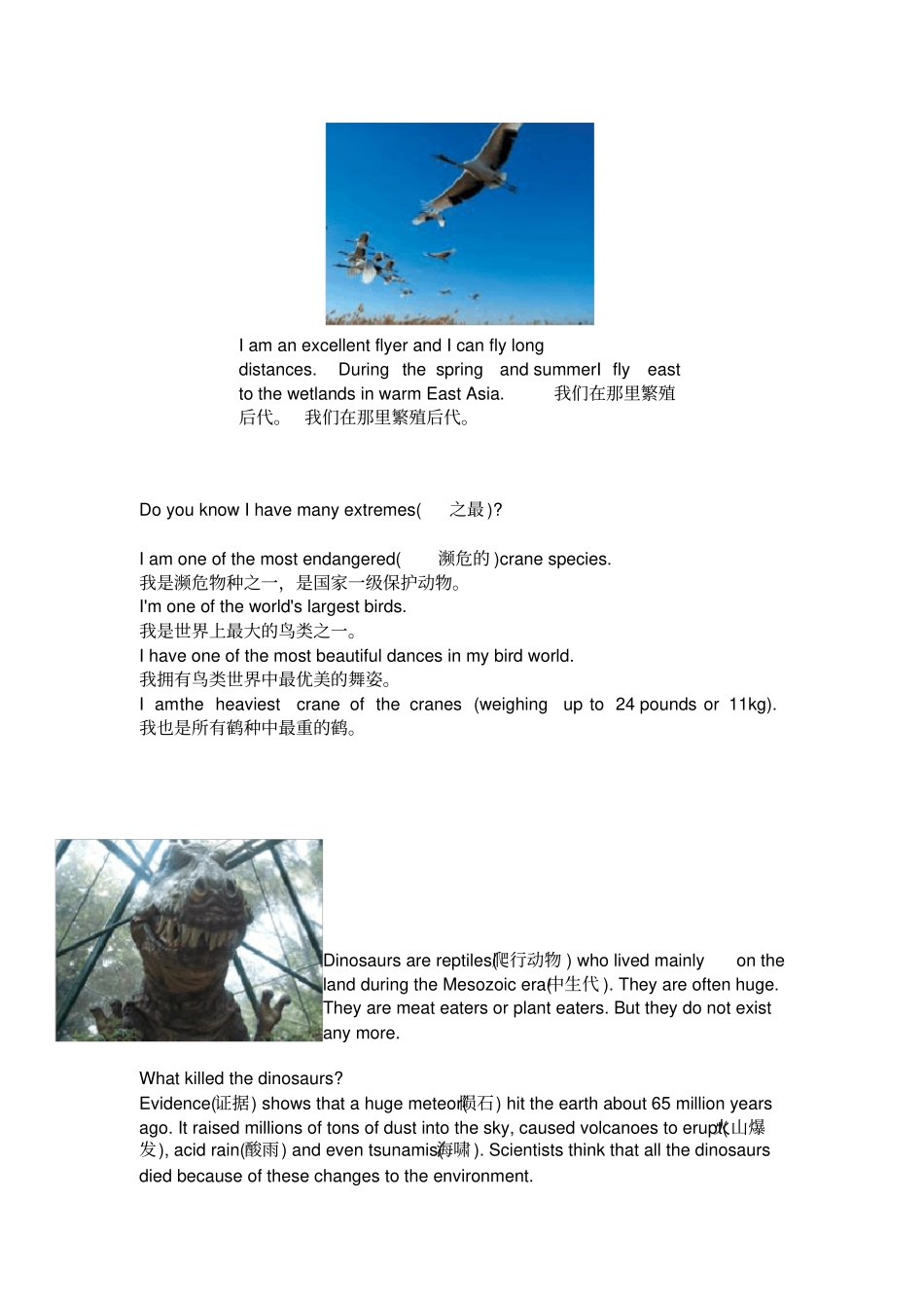 英文版百科知识_第3页