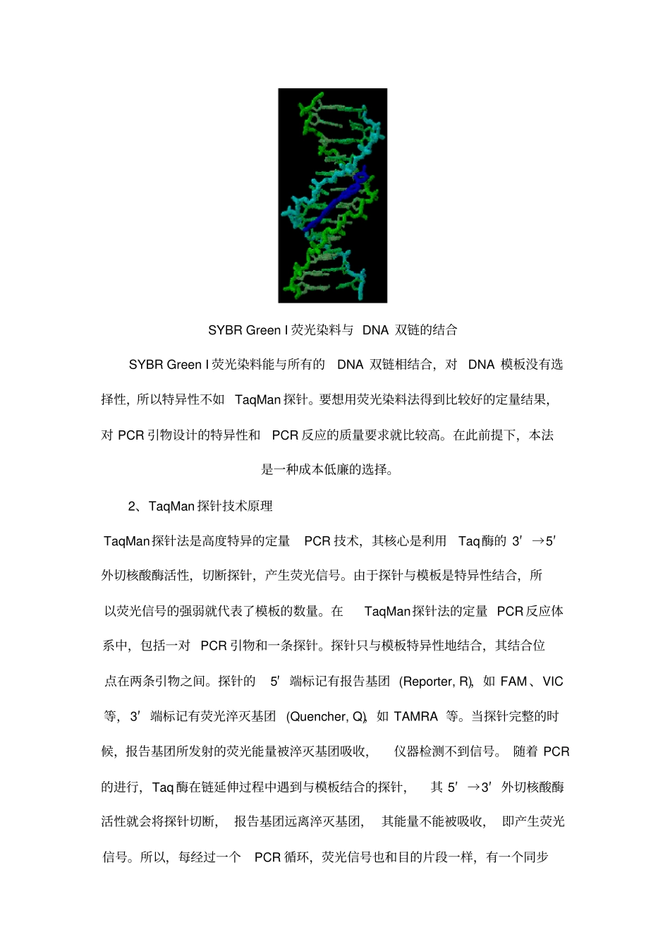 荧光定量PCR的原理使用_第2页