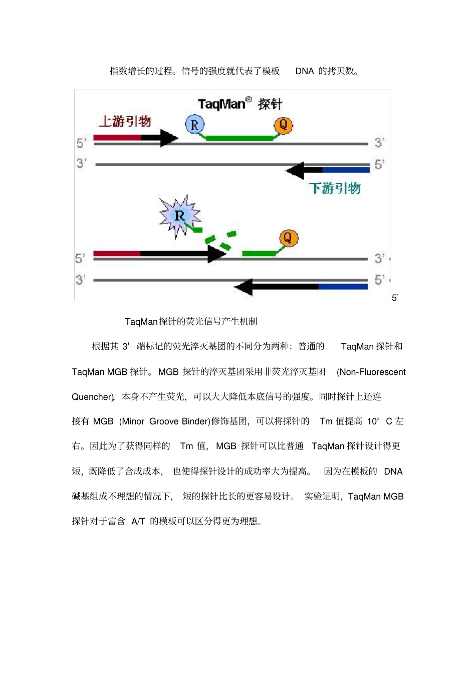 荧光定量PCR的原理使用_第3页