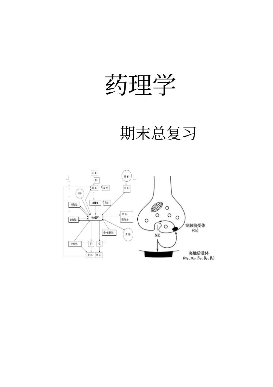 药理学期末总复习汇总_第1页