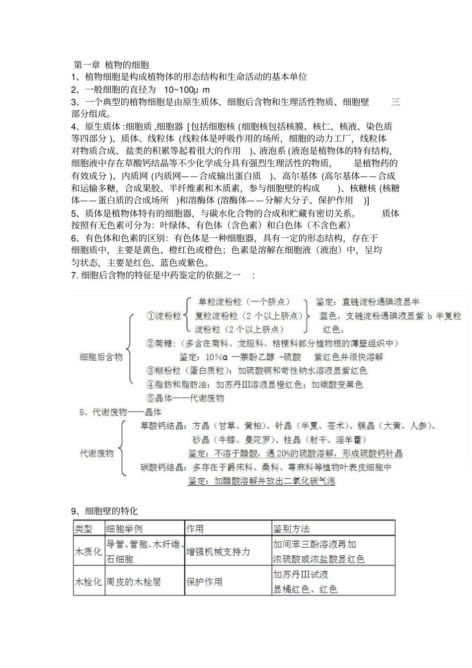 药用植物学资料_第1页