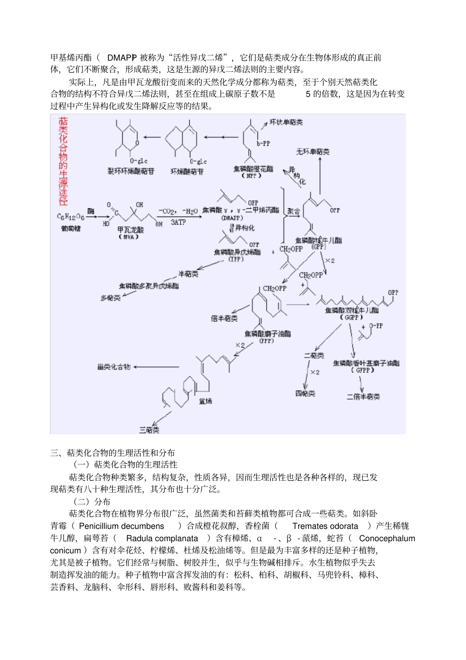萜类及挥发油_第2页