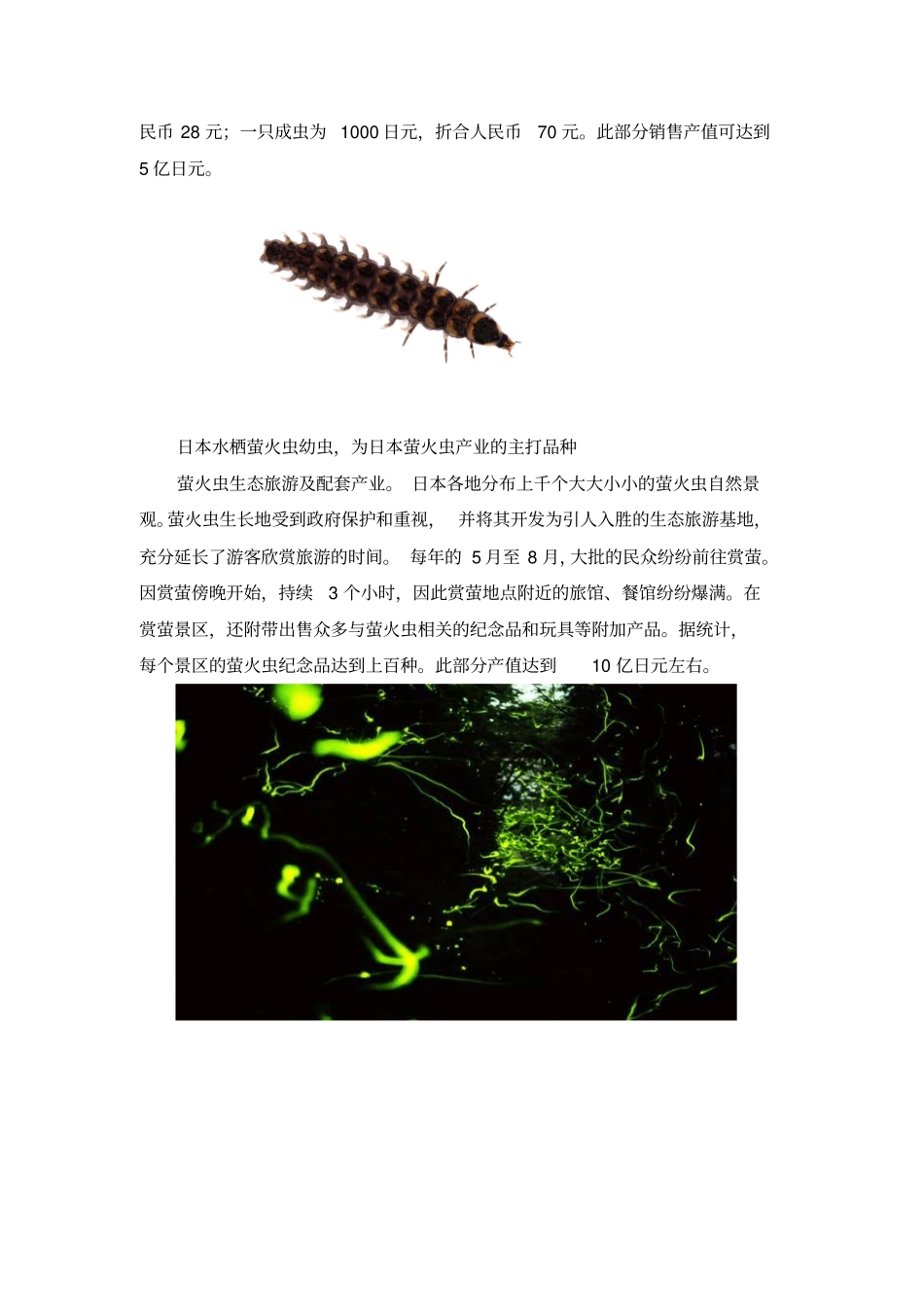 萤火虫景观介绍_第3页