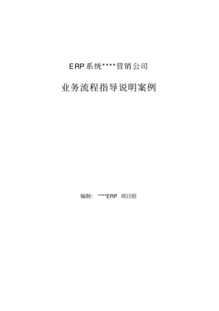 营销公司业务流程指导说明案例