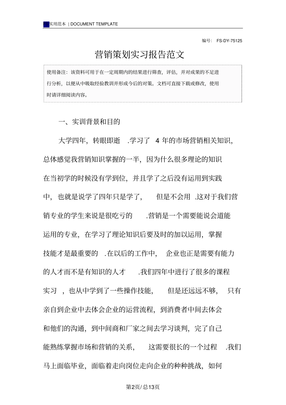 营销策划实习报告范本_第2页