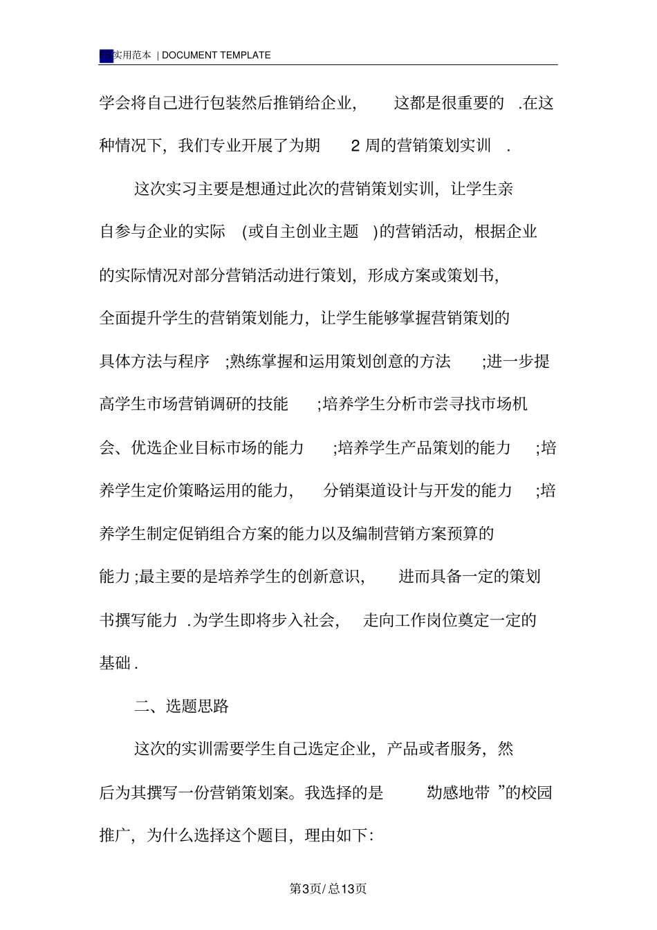 营销策划实习报告范本_第3页