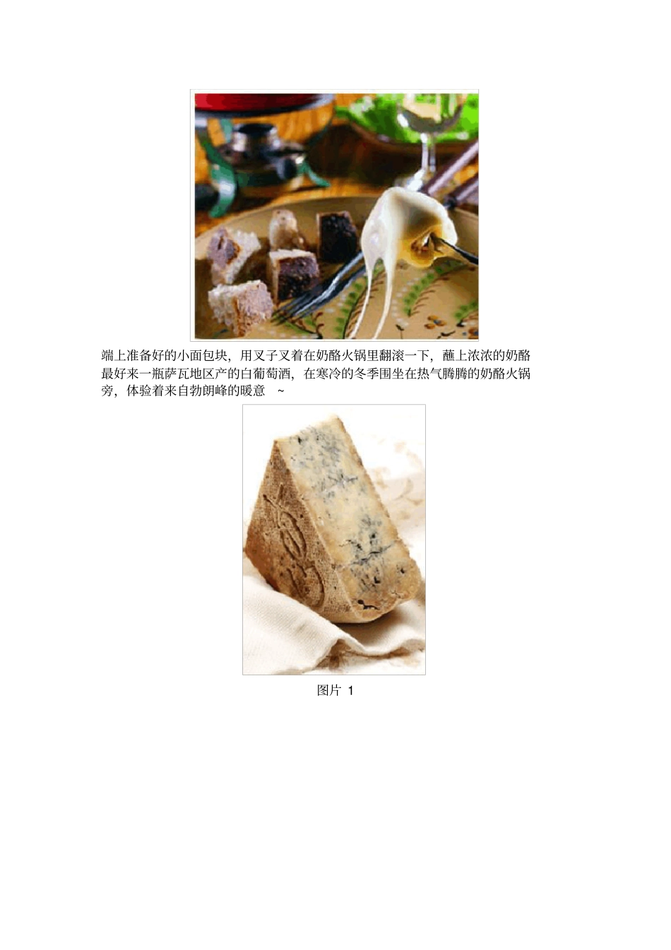 萨瓦奶酪火锅实用资料_第3页