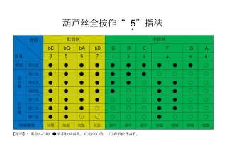 葫芦丝演奏指法图