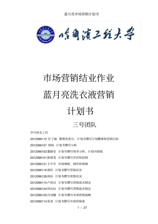 蓝月亮场营销计划书