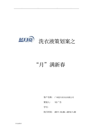 蓝月亮洗衣液营销策划案