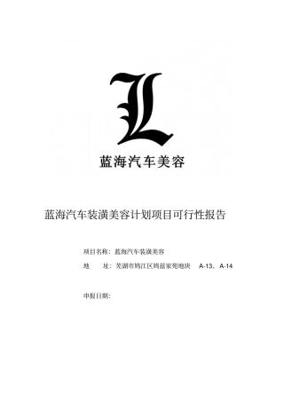 蓝海汽车美容装潢可行性研究报告