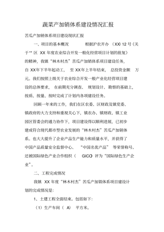 蔬菜产加销体系建设情况汇报