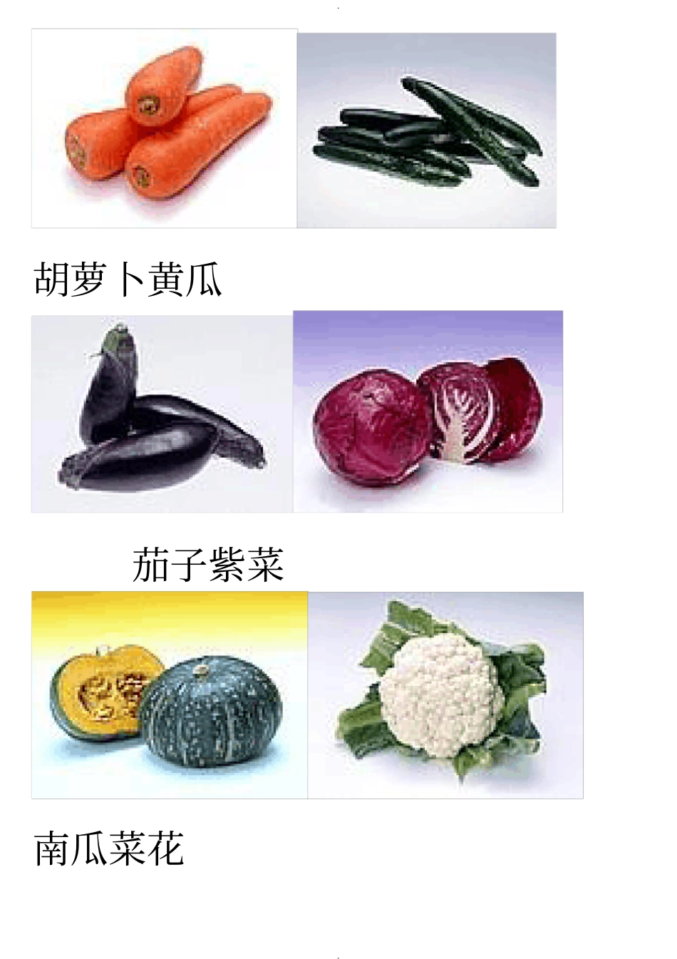 蔬菜图片大全_第3页