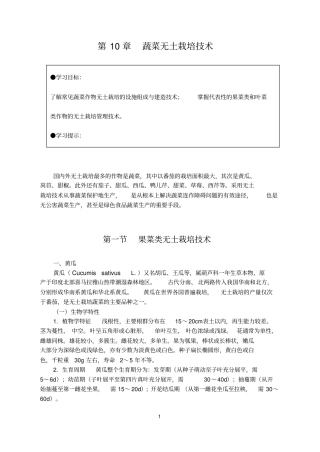 蔬菜无土栽培技术