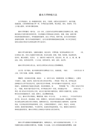 藤本月季种植方法