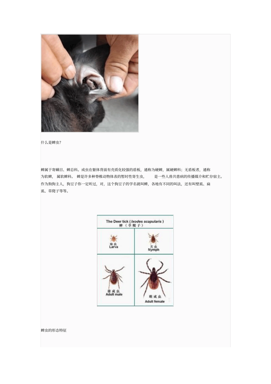 蜱虫生活习性及综合防治重点讲义资料_第1页