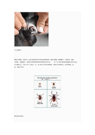 蜱虫生活习性及综合防治重点讲义资料