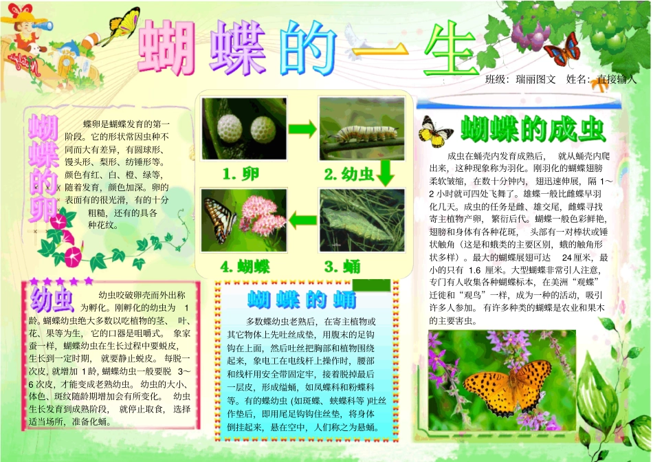 蝴蝶的一生1357A4电子小报模板科学在我身边手抄报蝴蝶的生长过程观察日记科普知识简报自然模板昆虫知_第1页