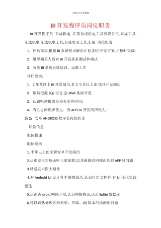 BI开发程序员岗位职责