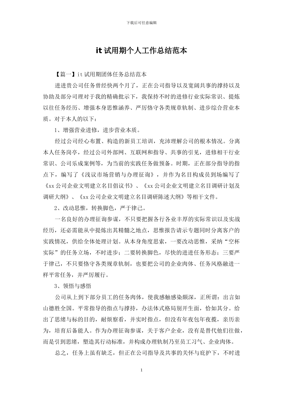 it试用期个人工作总结范本_第1页