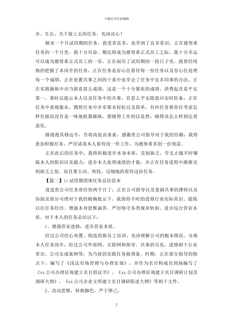 it试用期个人工作总结范本_第2页