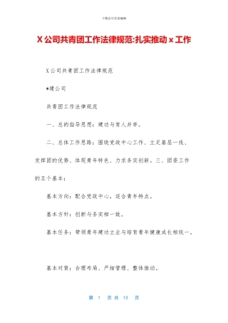 X公司共青团工作规范