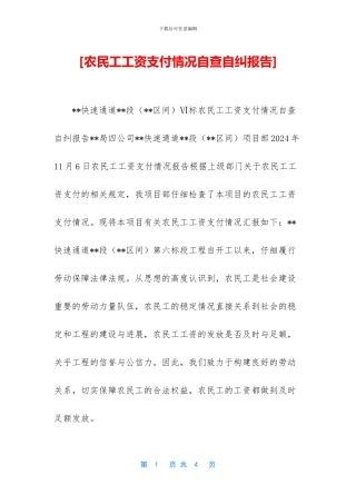 [农民工工资支付情况自查自纠报告]