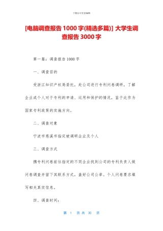 [电脑调查报告1000字]