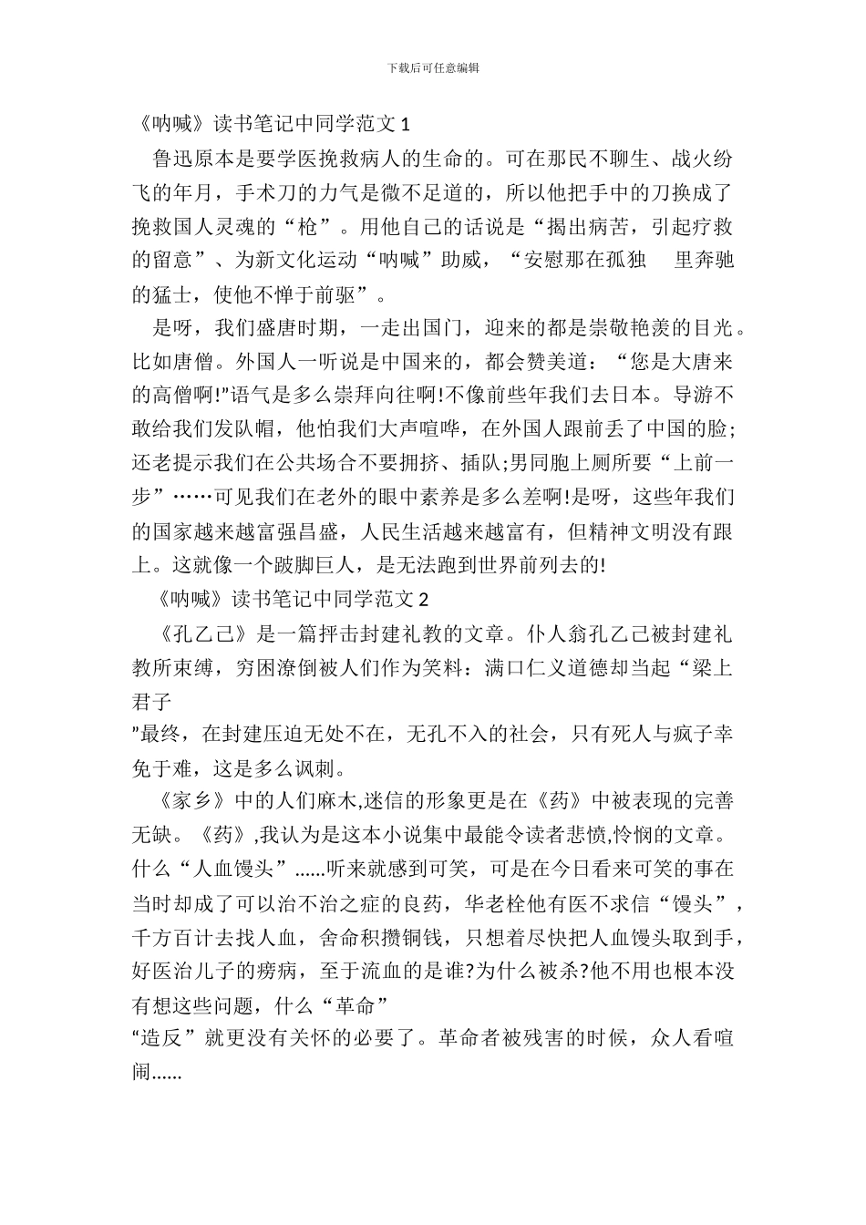 《呐喊》读书笔记中学生范文五篇_第2页