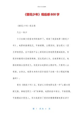 《壁花少年》观后感800字
