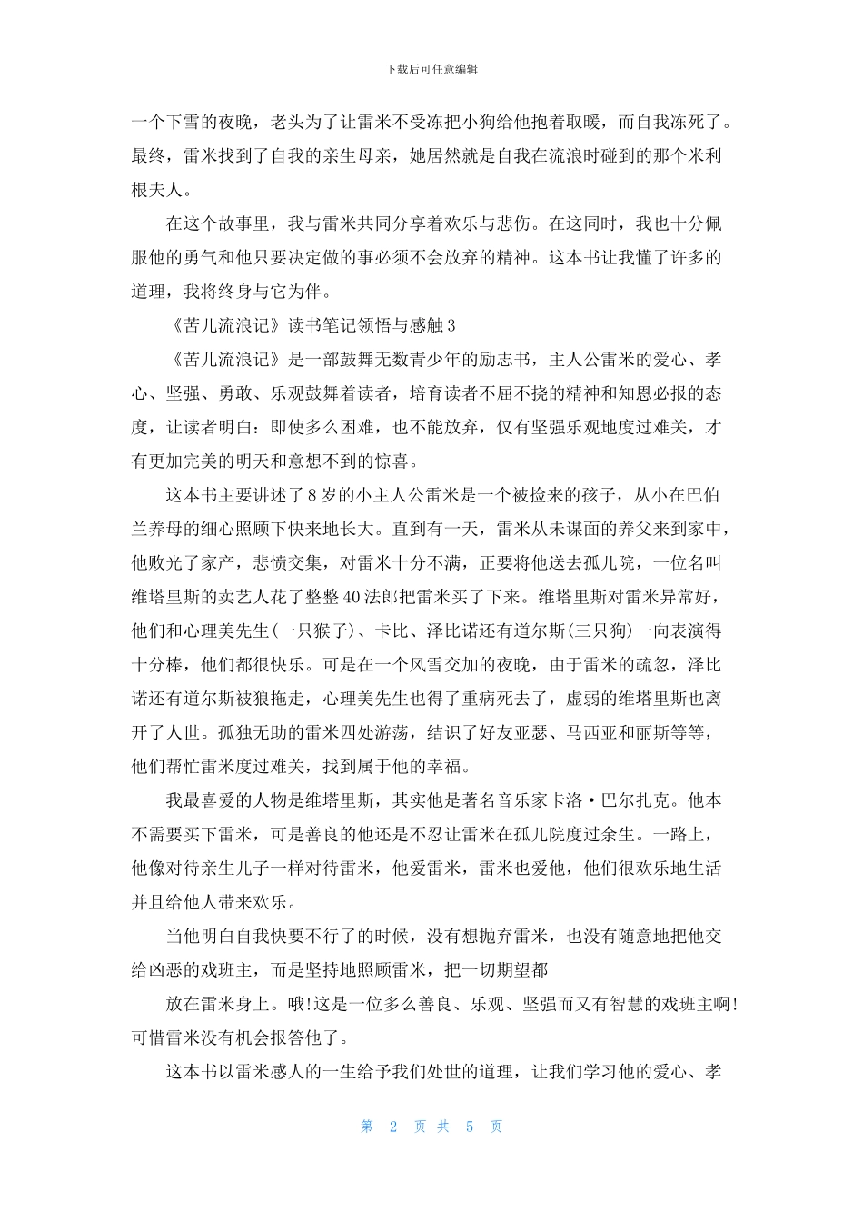 《苦儿流浪记》读书笔记领悟与感触五篇_第2页