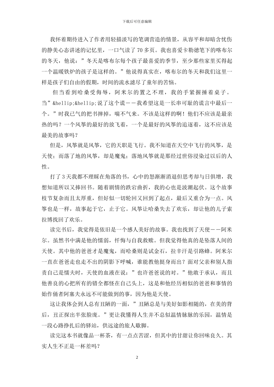 《追风筝的人》读书心得_第2页