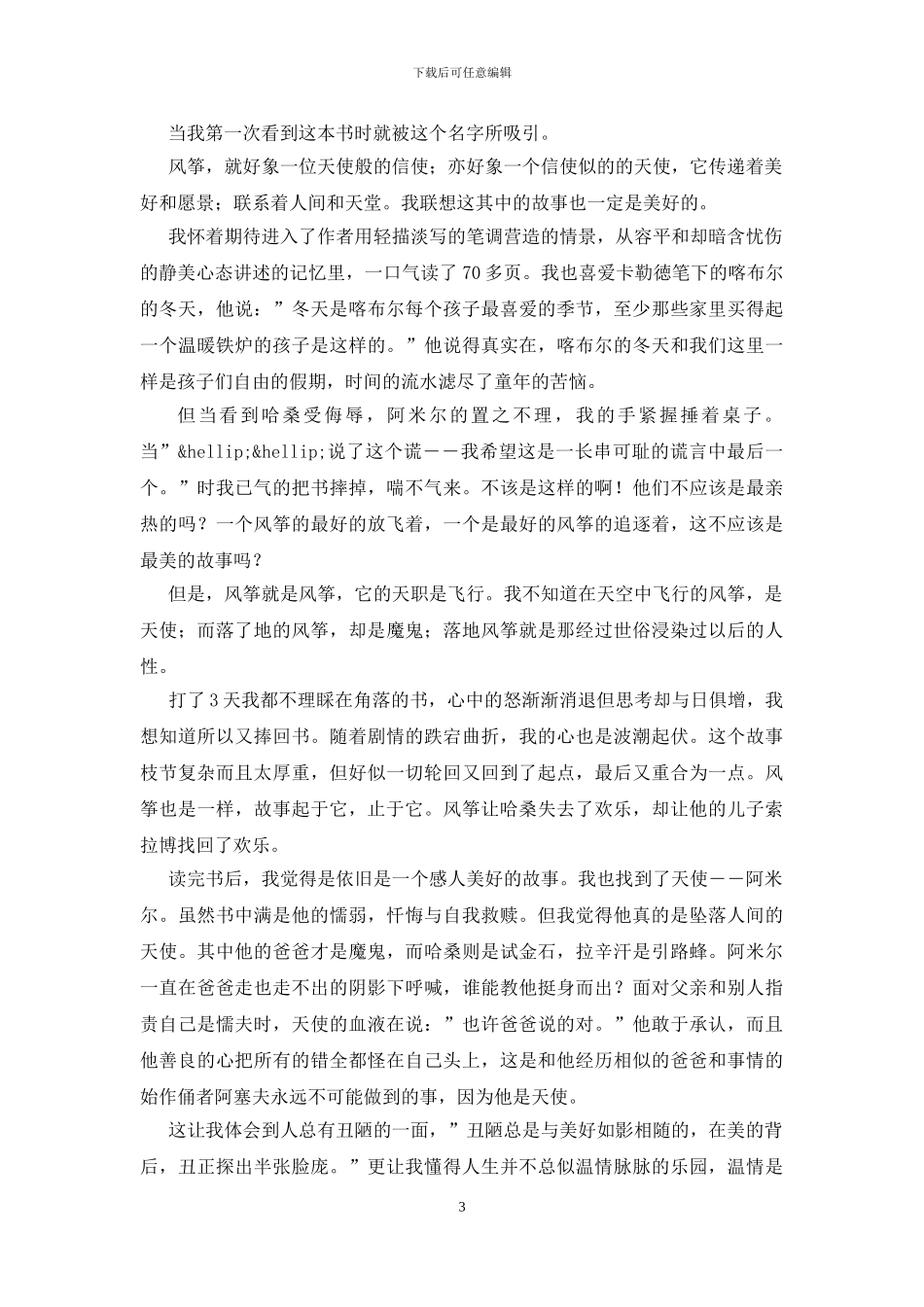 《追风筝的人》读书心得_第3页