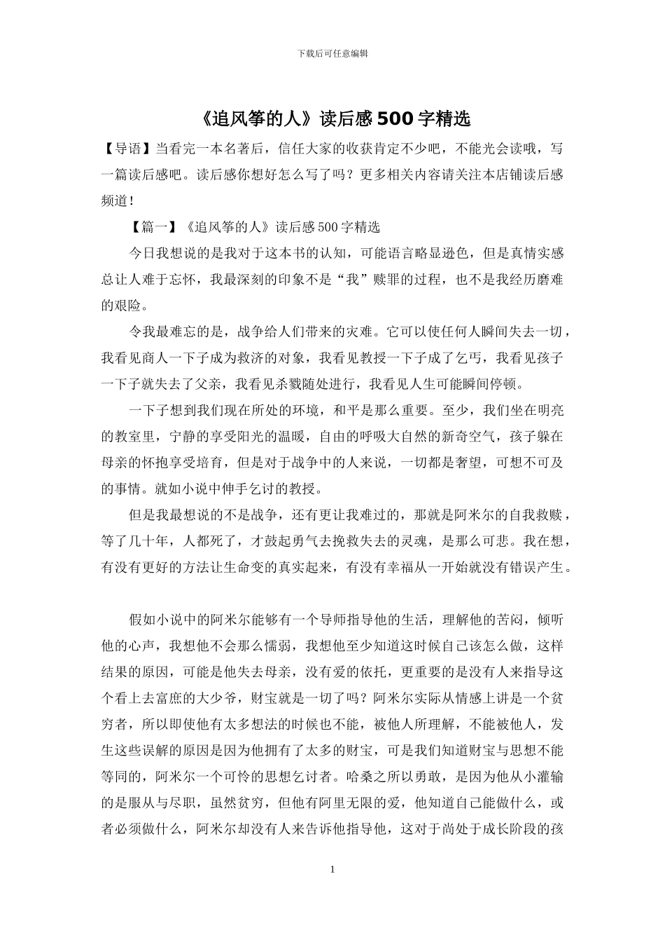 《追风筝的人》读后感500字精选_第1页