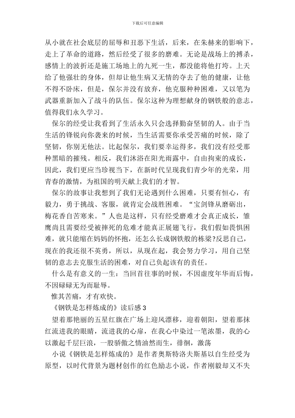 《钢铁是怎样炼成的》读后感最新范文_第3页