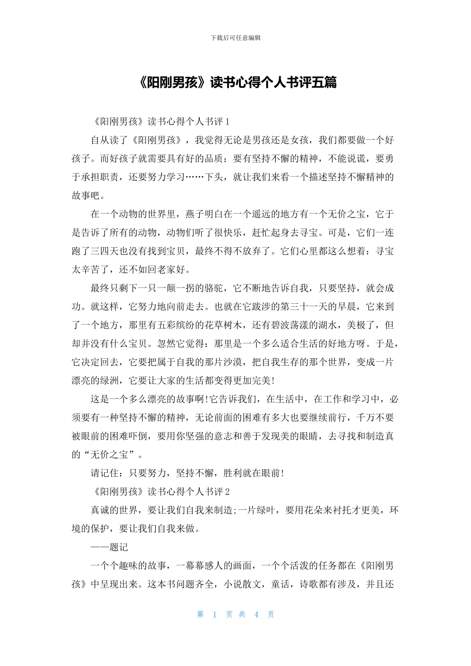 《阳刚男孩》读书心得个人书评五篇_第1页