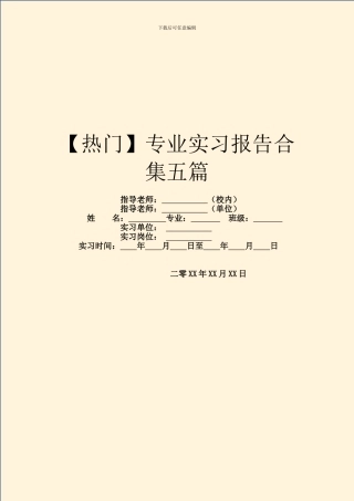 【热门】专业实习报告合集五篇