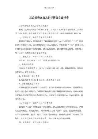 三公经费支出及执行情况自查报告