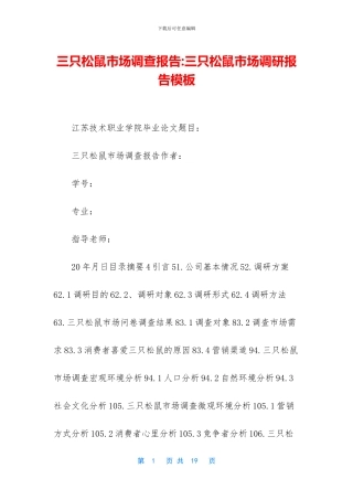三只松鼠市场调查报告