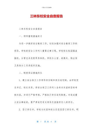 三林东校安全自查报告