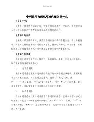 专利编号有哪几种其作用各是什么