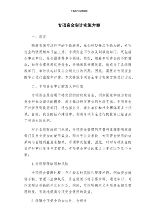 专项资金审计实施方案