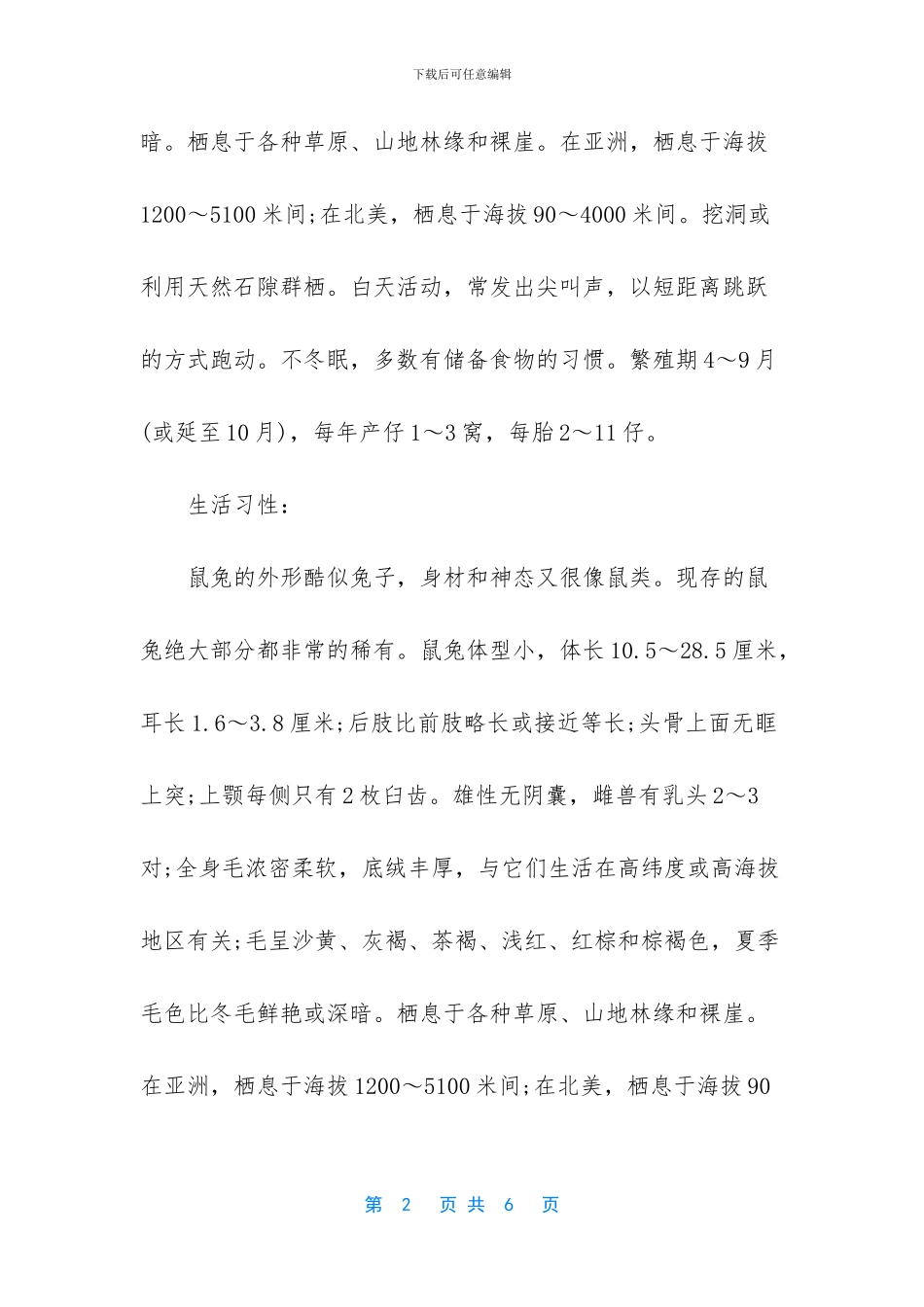 世上最小的兔子是哪种_第2页