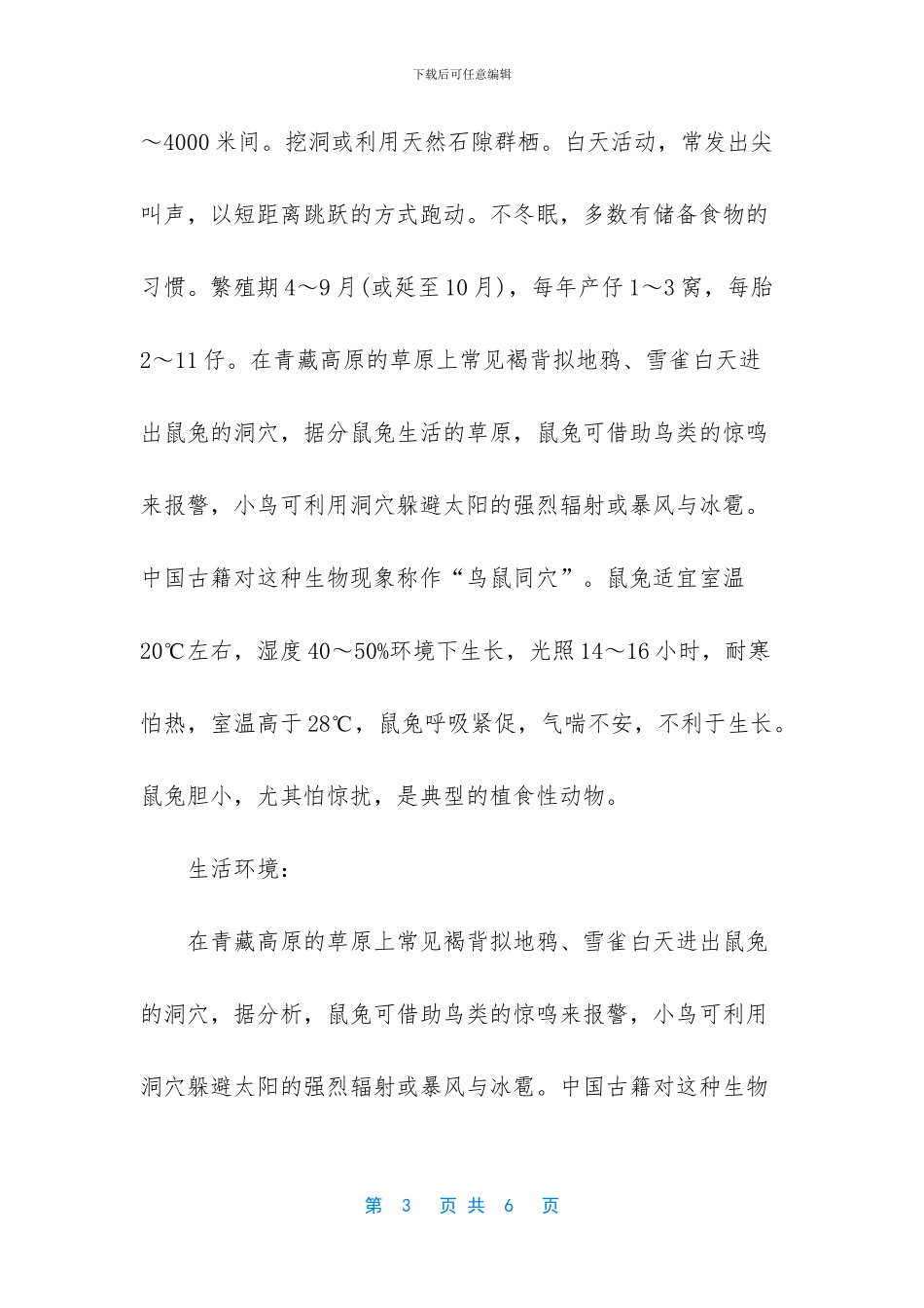 世上最小的兔子是哪种_第3页