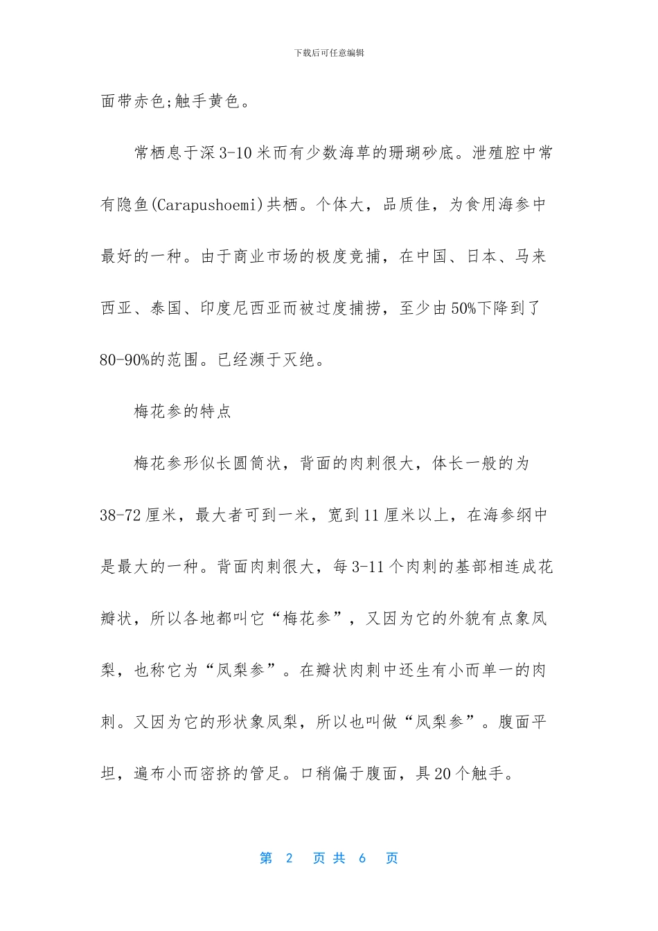 世界上最大的海参_第2页