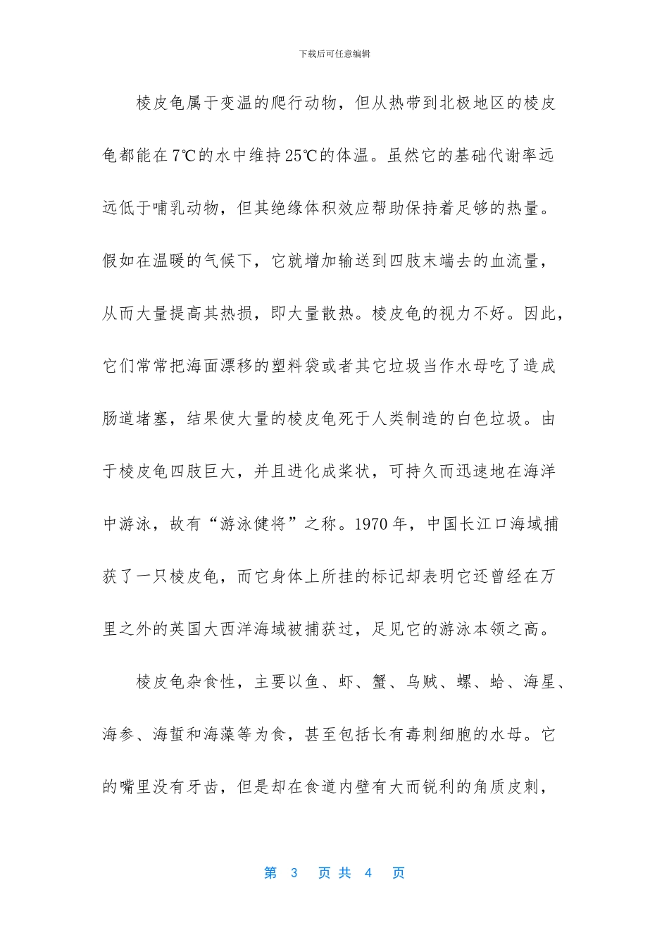 世界上最大的海龟_第3页
