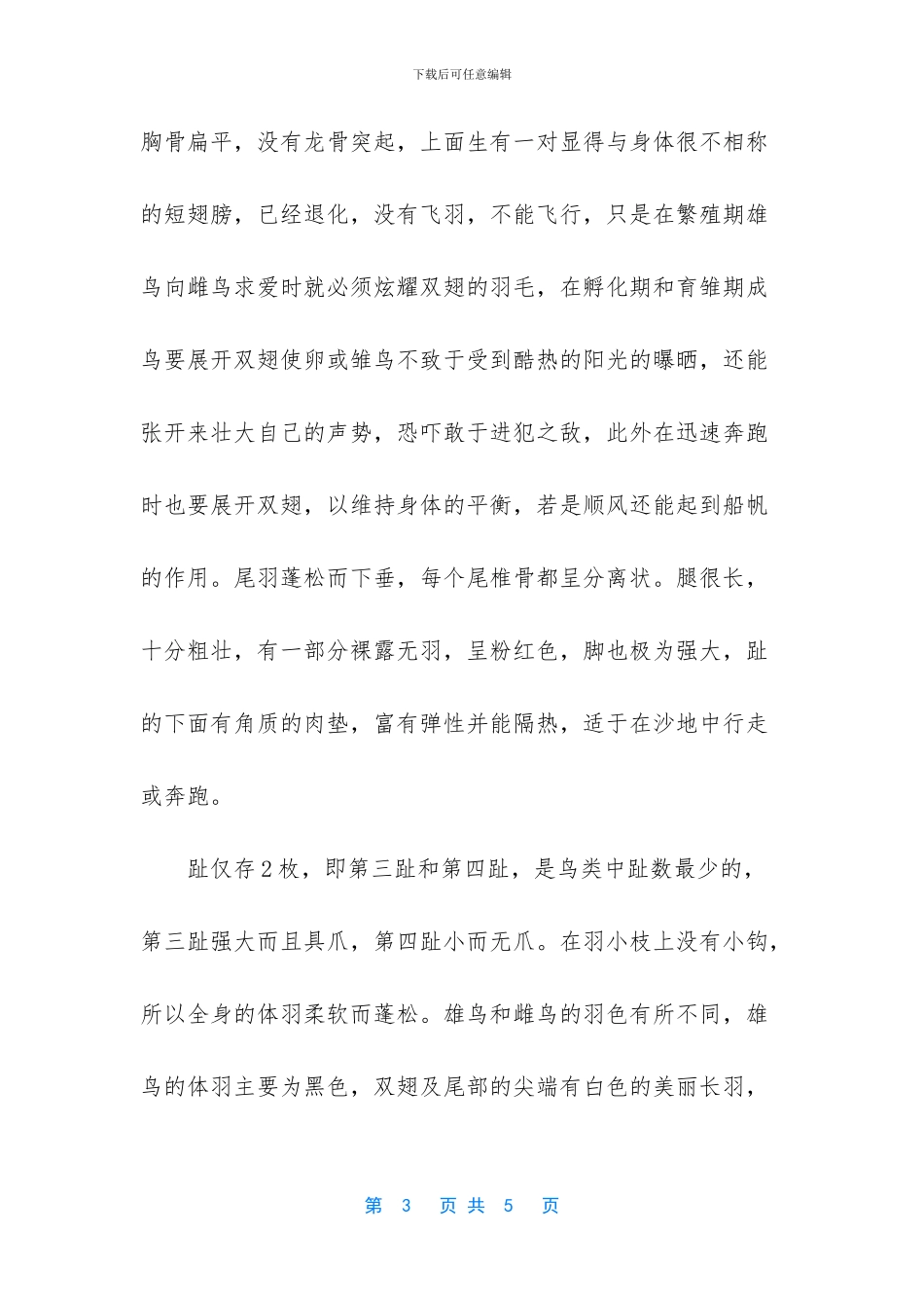 世界上最大的鸟和最小的鸟_第3页