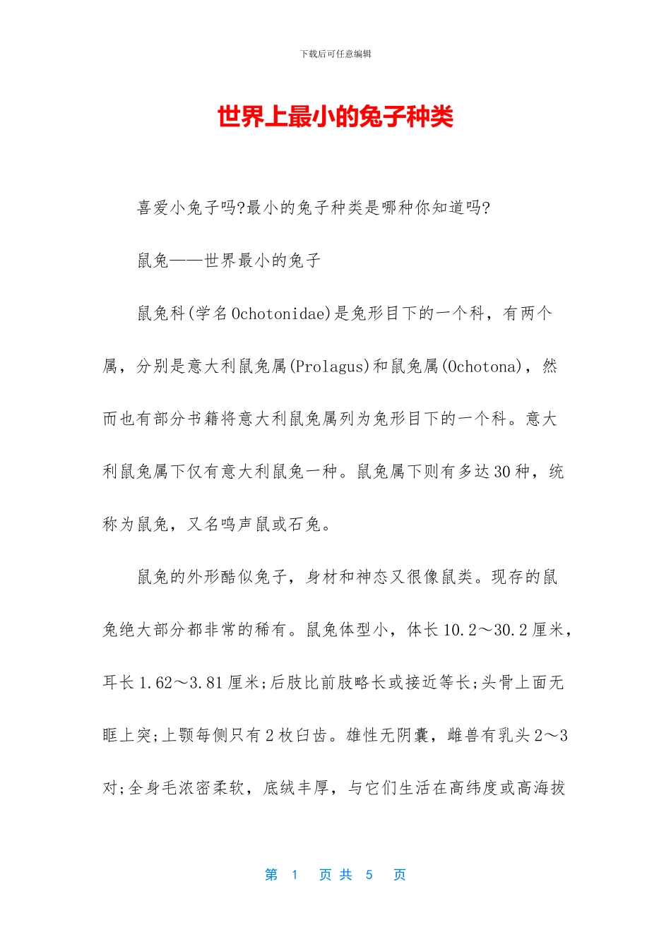 世界上最小的兔子种类_第1页