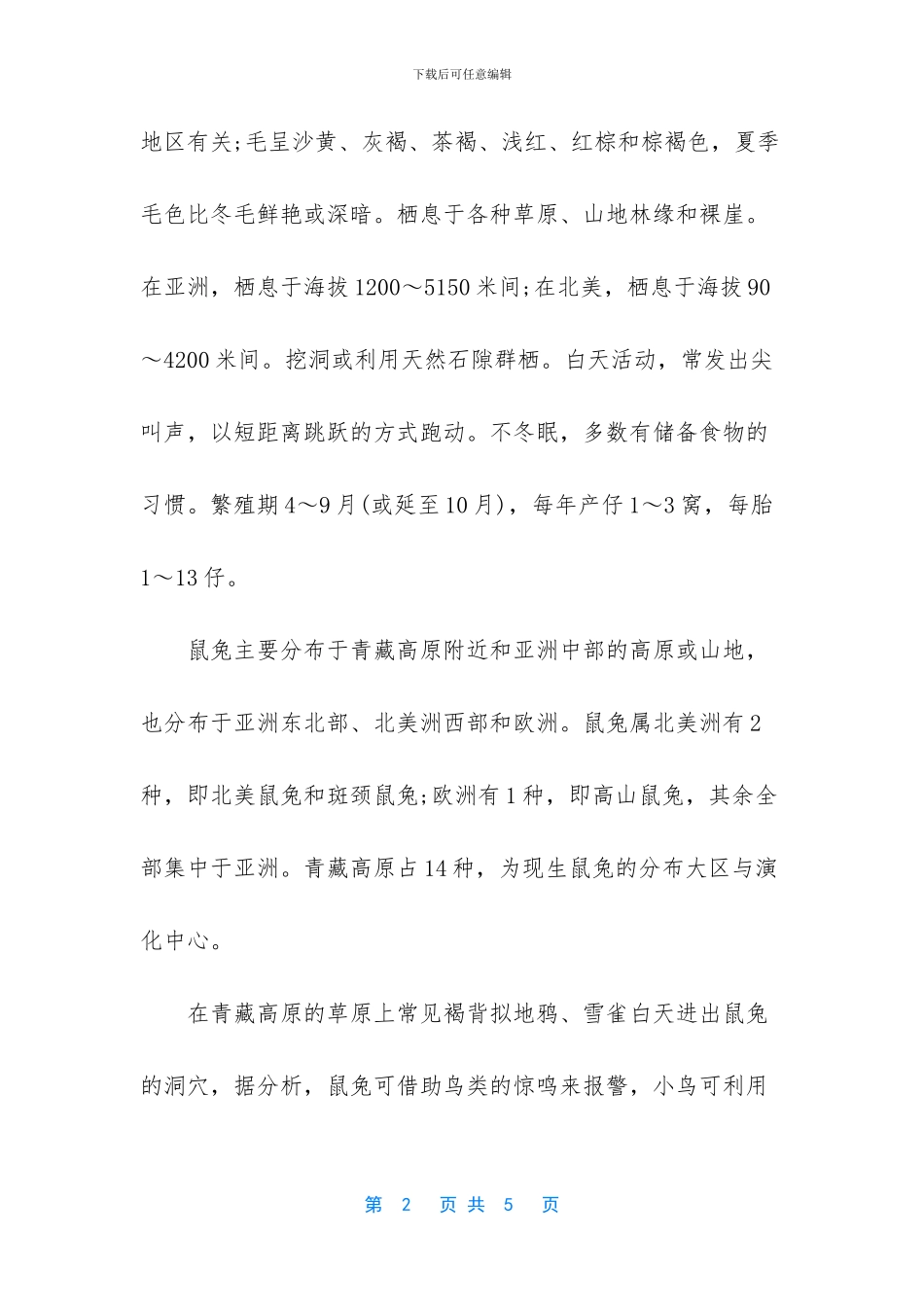 世界上最小的兔子种类_第2页